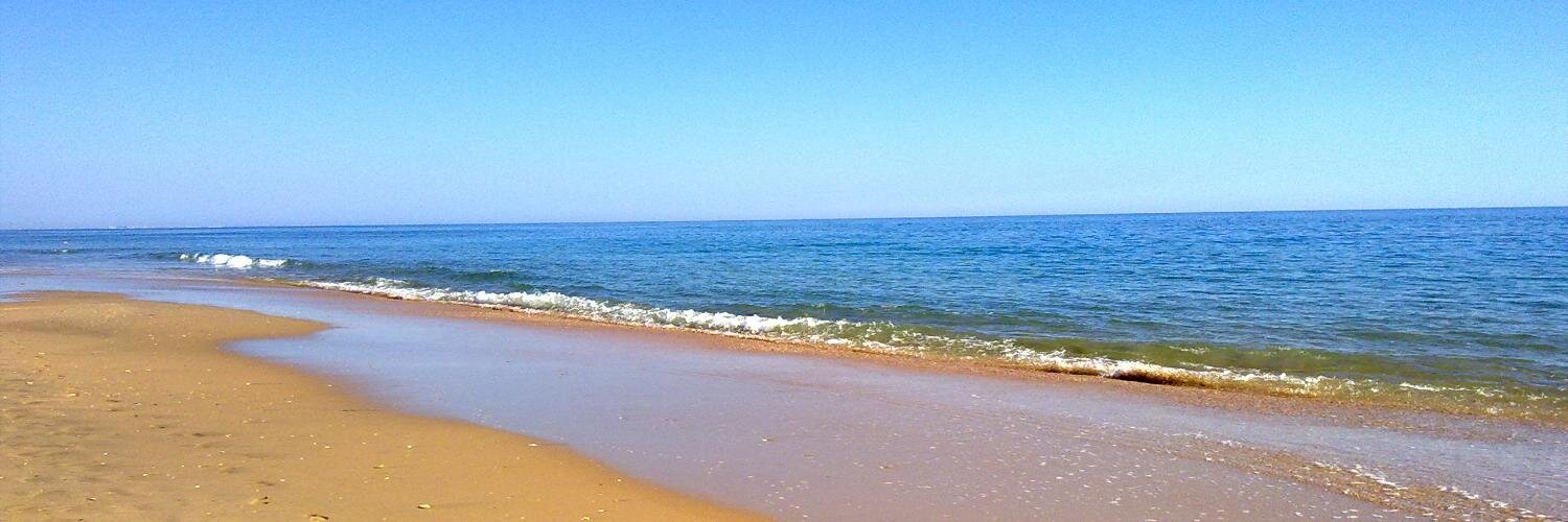 Carlos Martín banner