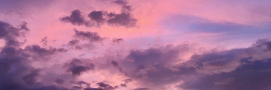 amy__green_'s profile banner image