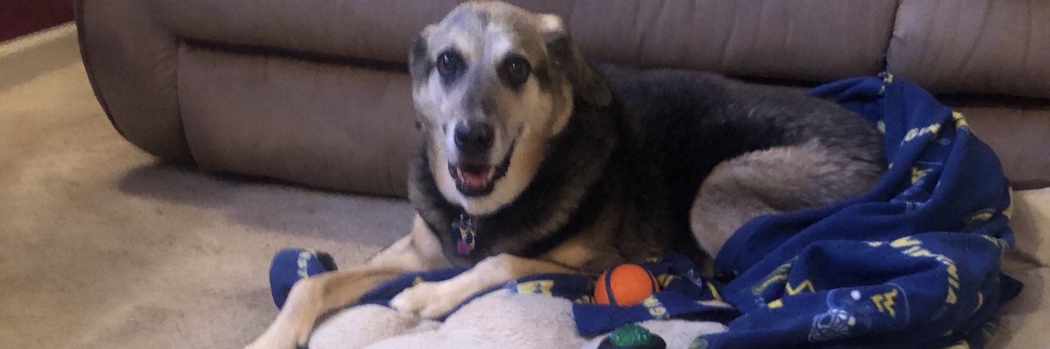 Bill Southerly banner