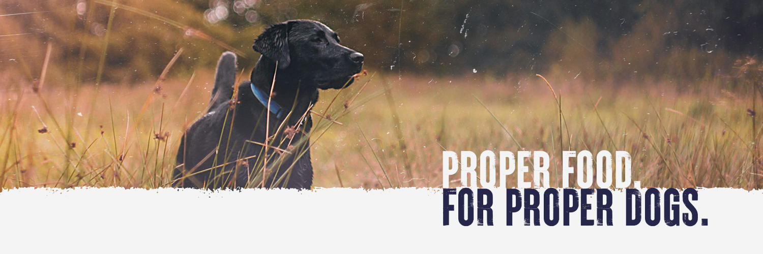 AlphaFeeds's profile banner image