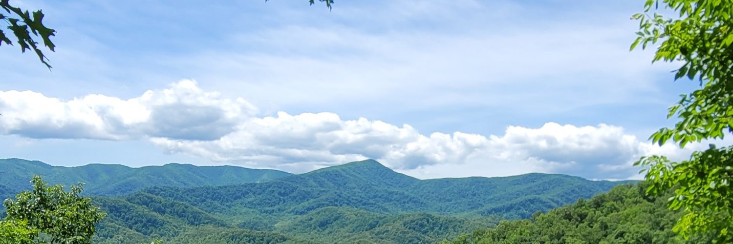bigtuna326's profile banner image