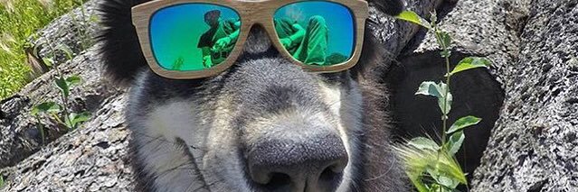 anonimavel's profile banner image