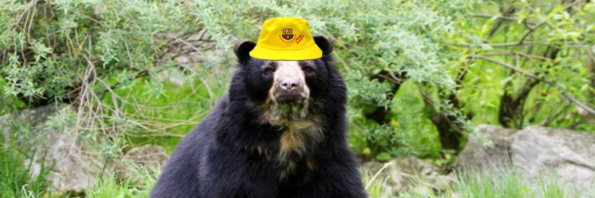 bearfg10k's profile banner image