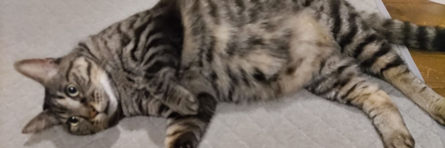minipantz's profile banner image