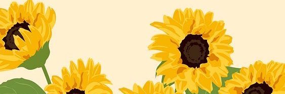 บุญเล้งหวาน ˚ 𖥔 ݁˖'s banner