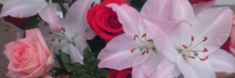 SamanthaChaffer's profile banner image