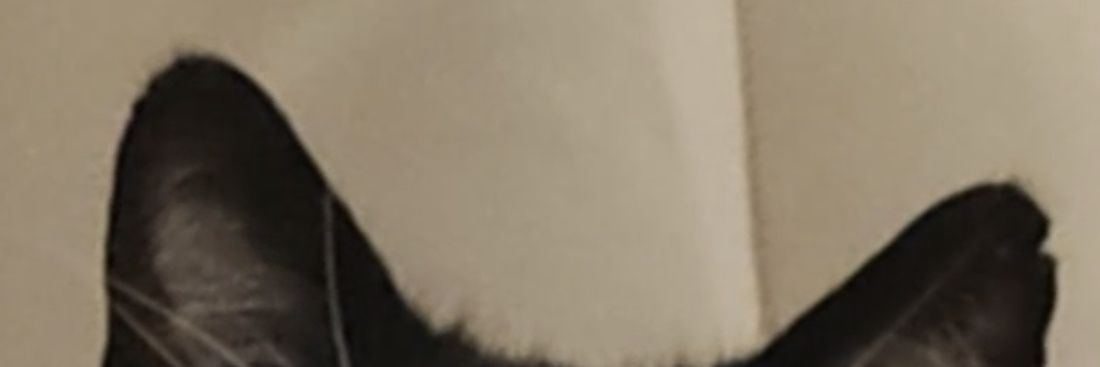 caralinouche's profile banner image