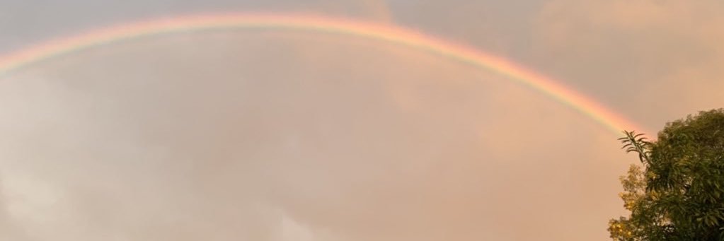 jiewmaii's profile banner image