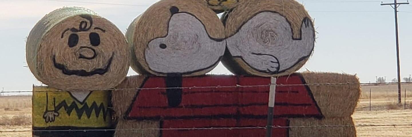 marylovzz's profile banner image