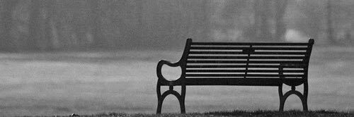 Bella___4's profile banner image