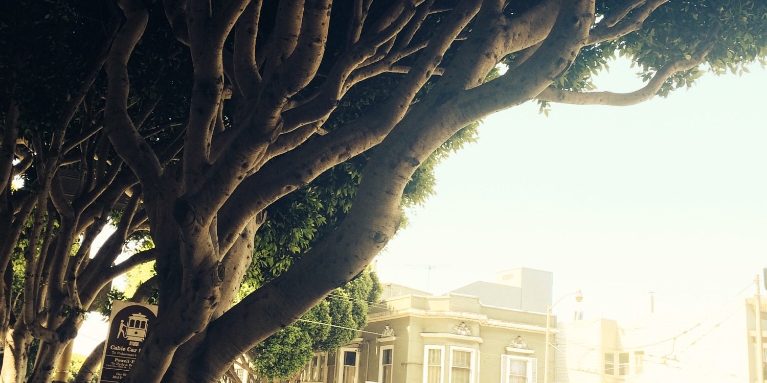 CalumHoodSA's profile banner image