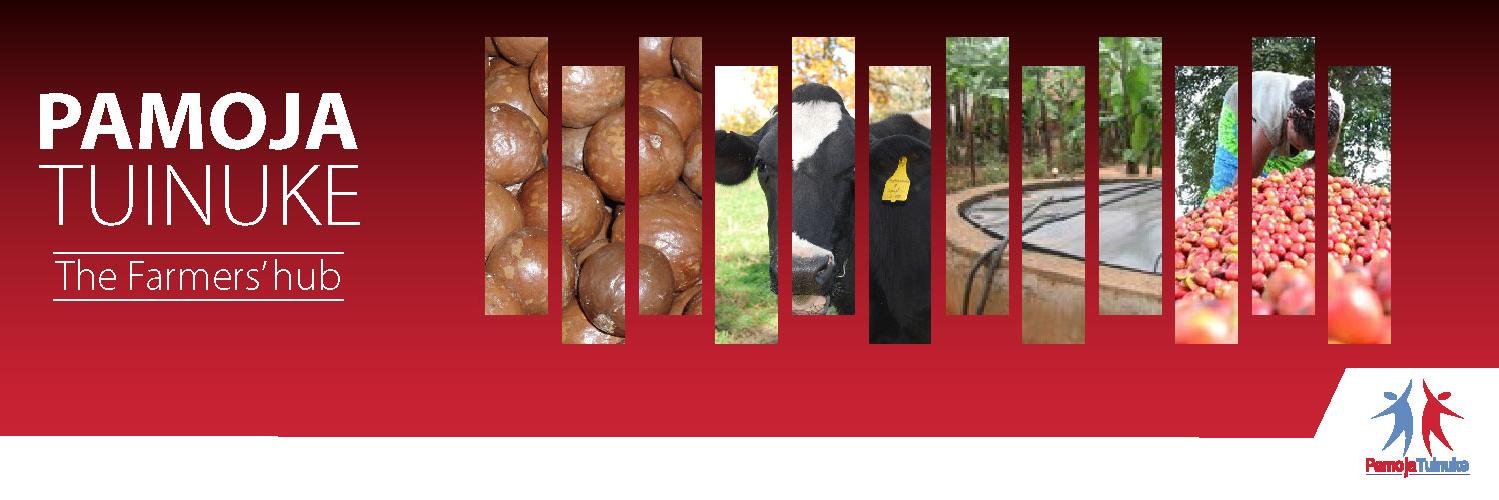 pamojatuinuke's profile banner image