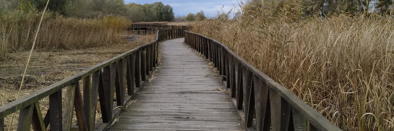 Esther Morales Hdez banner