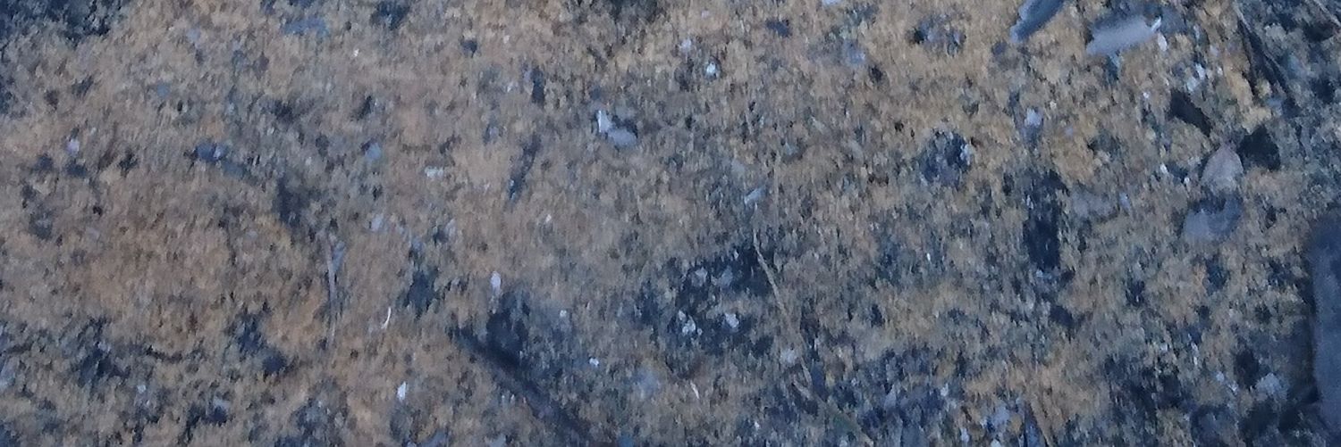 gohan_ha's profile banner image
