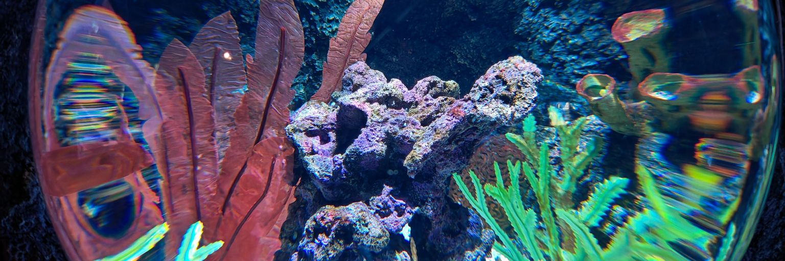 Anarchaeologist's profile banner image