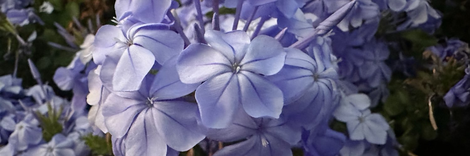 kimhaooo's profile banner image