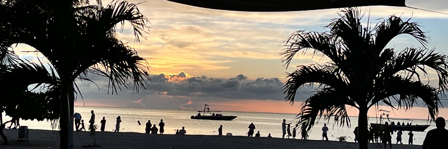 luisavalencia83's profile banner image