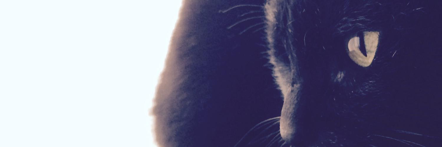 violet793's profile banner image