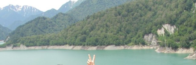 forestfeltou's profile banner image