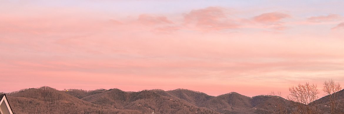 jasminmyer's profile banner image