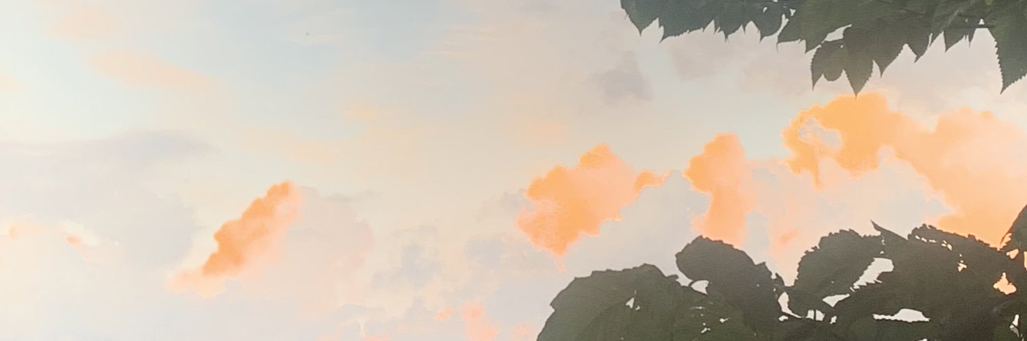 e_bintz's profile banner image