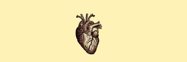 gnfcosta's profile banner image