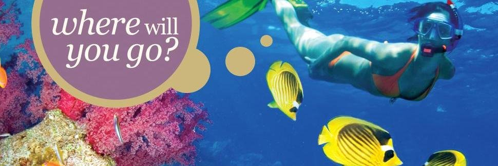 Adeona Travel banner