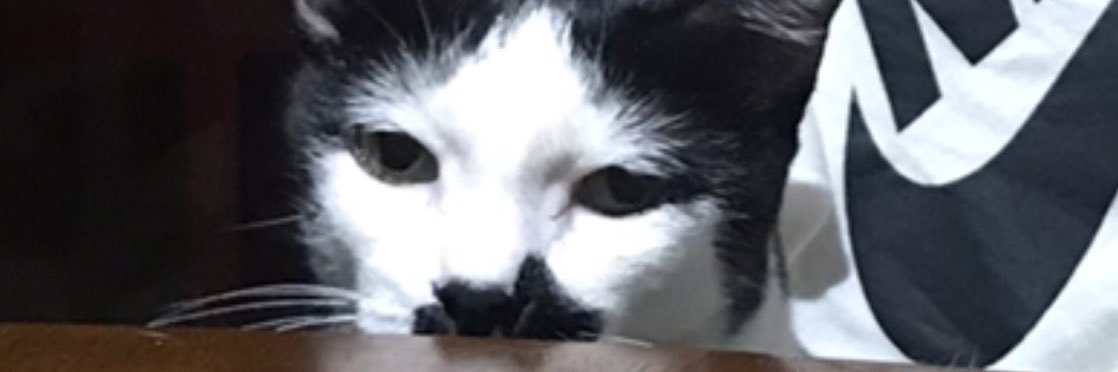 alexnthemachine's profile banner image