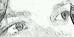 claratoal's profile banner image