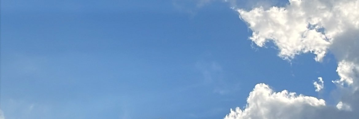 michellearher's profile banner image