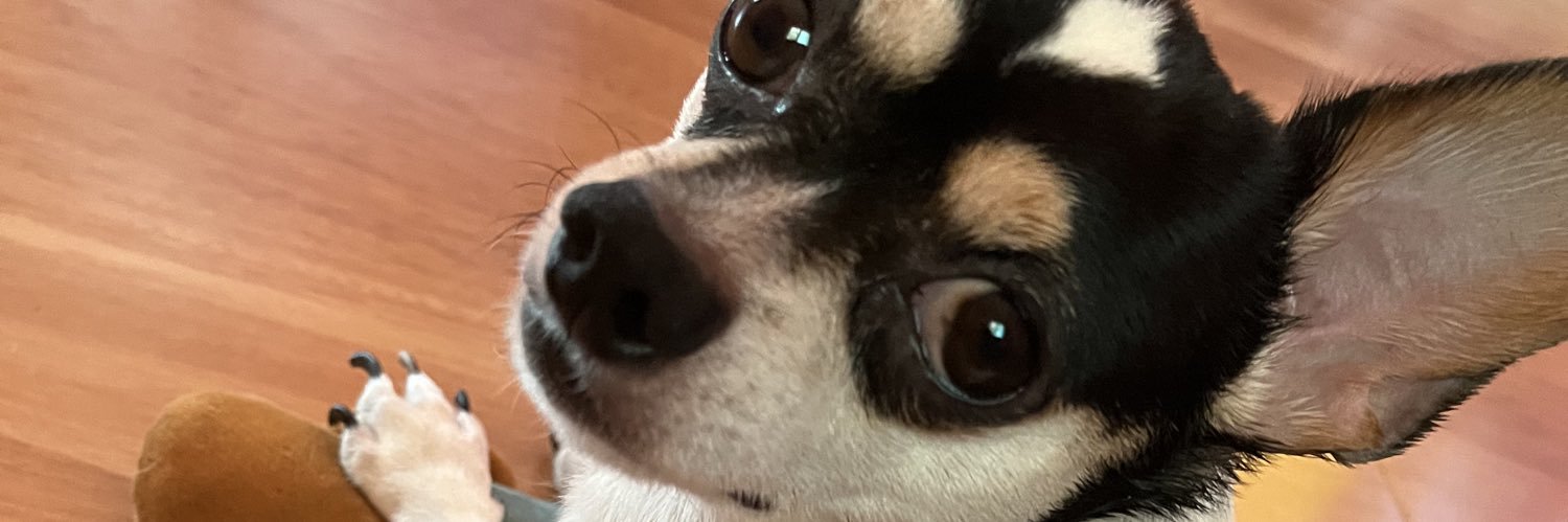 Kkprwr's profile banner image