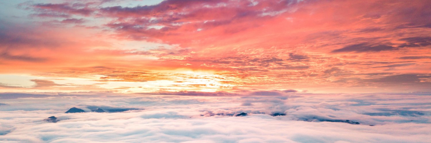 El2Strike🐻⛓️(💙,🧡)🛸🛡️🏰(L3,❄️)🚀MATR1XCoin banner