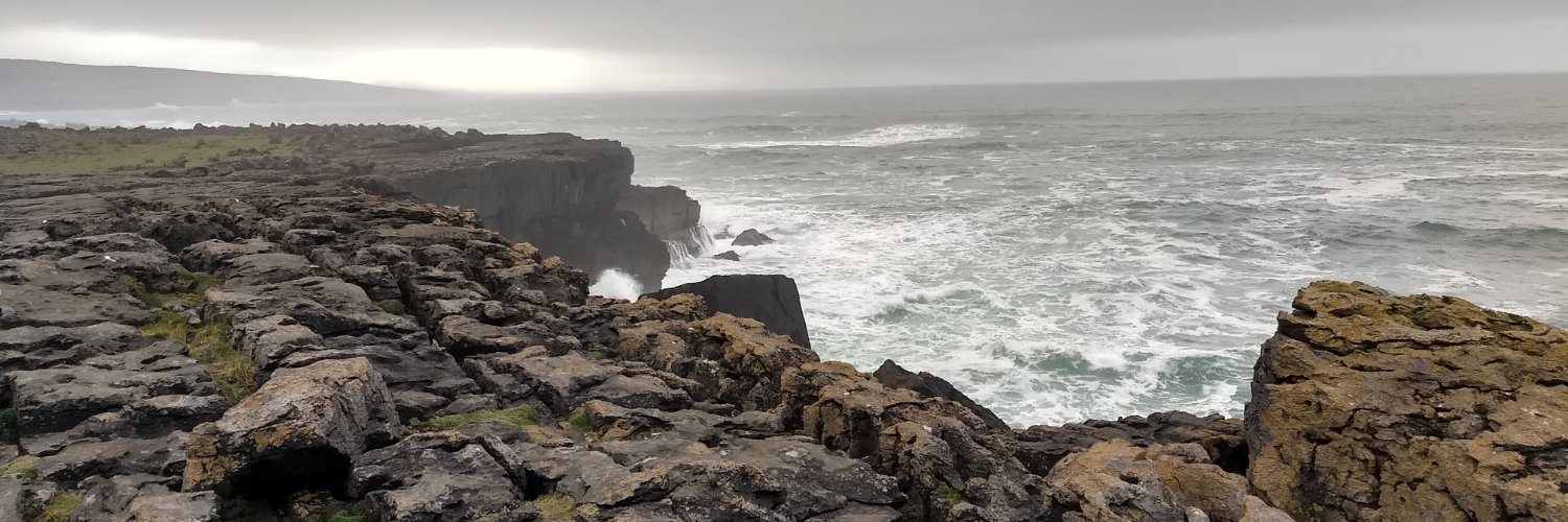 Nathalie Lamprecht banner