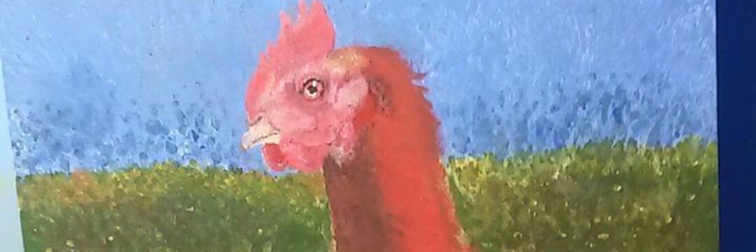 BamberEmma's profile banner image