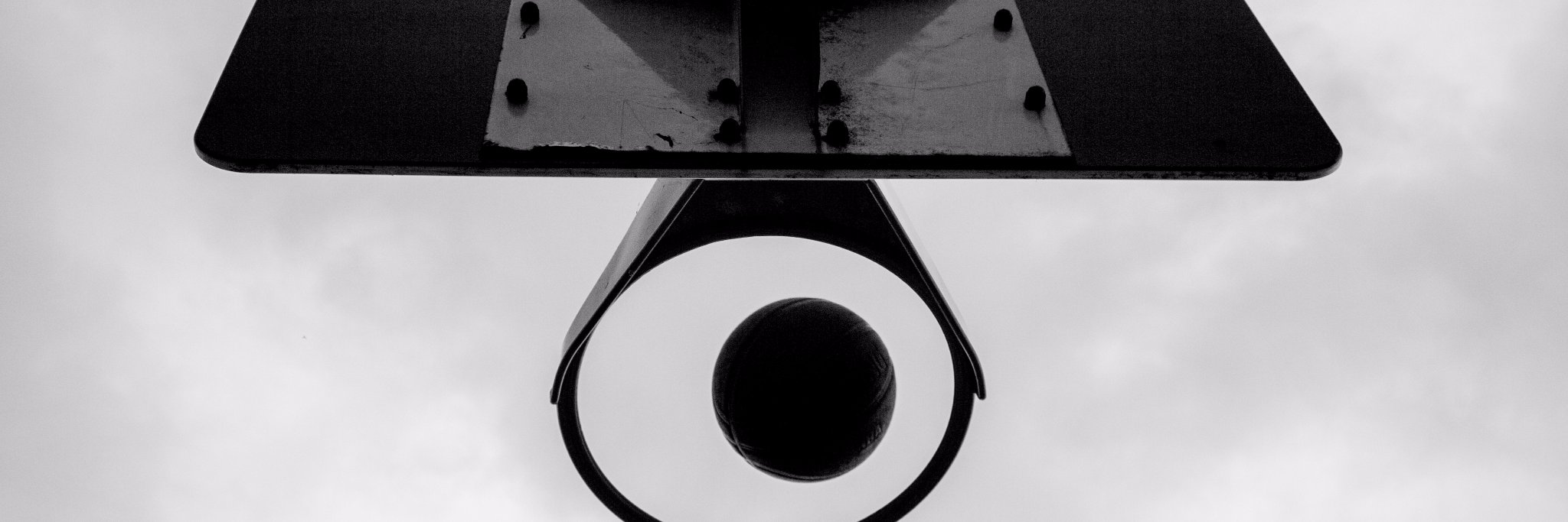 exeterotters's profile banner image