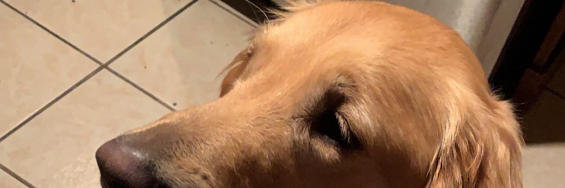daperez236's profile banner image