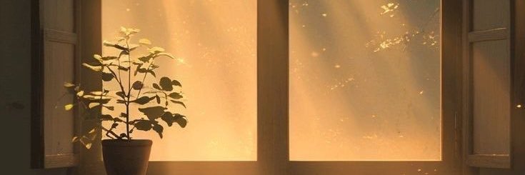 cocococod00's profile banner image