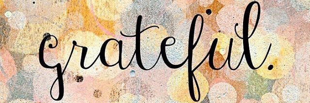 shermuise's profile banner image