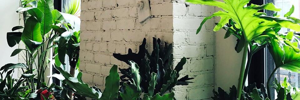 RaydeneSalinas's profile banner image