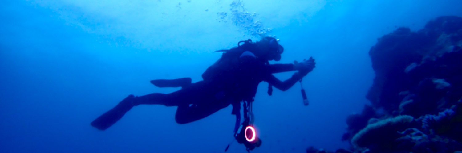 メルみ🐭 banner