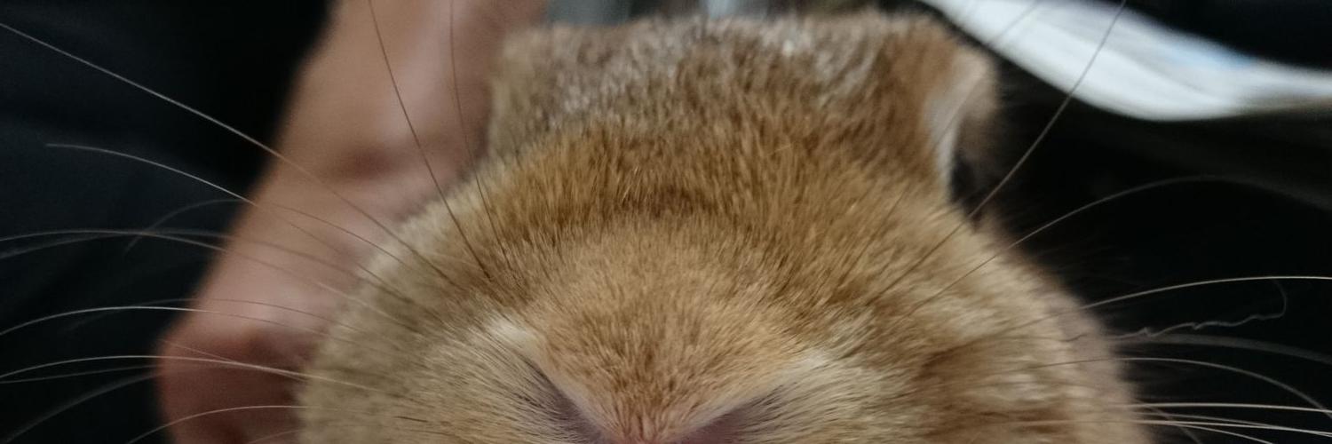 tonsuke1977's profile banner image