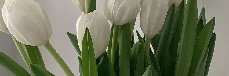 AMEZONAPRIL's profile banner image