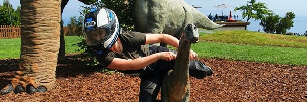 HedgeScout Profile Banner