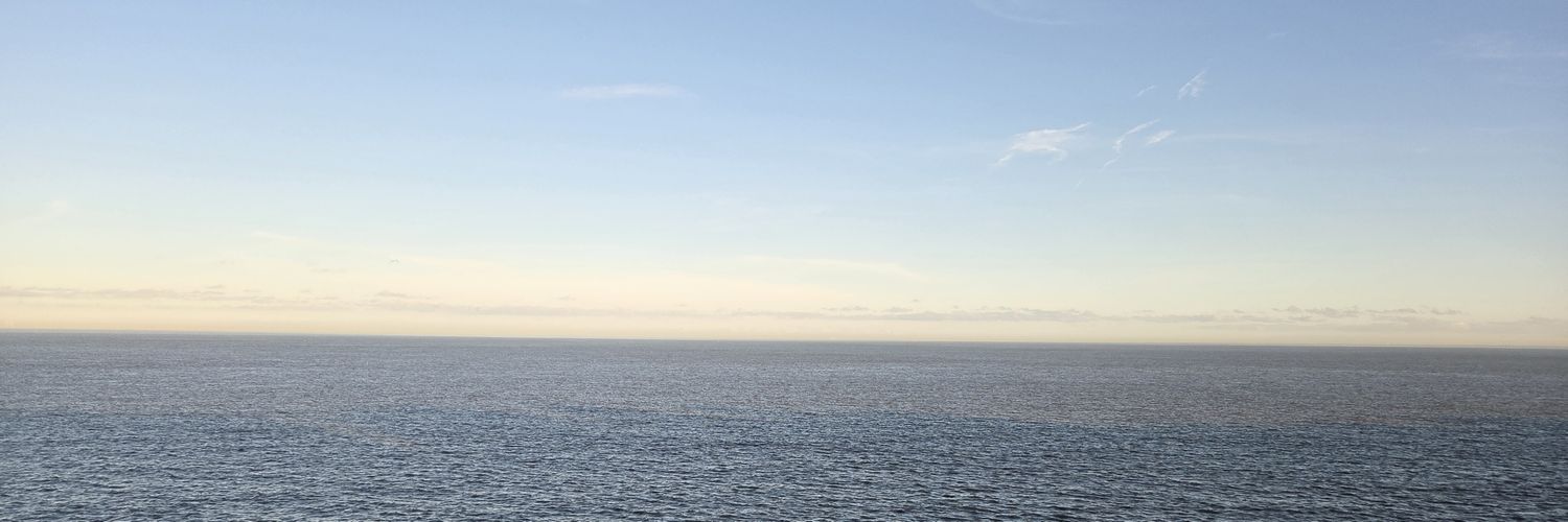 Cowboy Red Beard banner