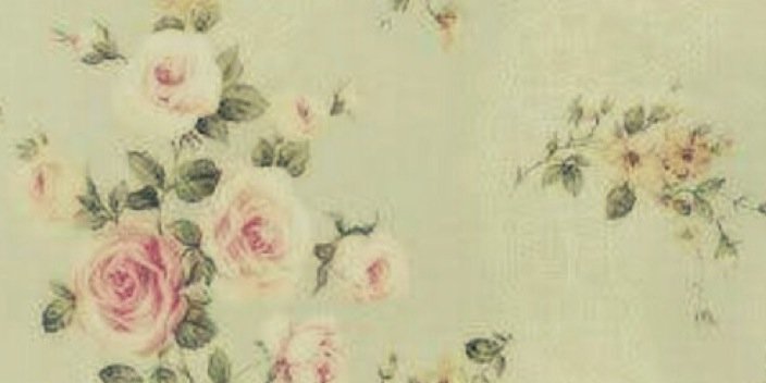 ChasteMinutia's profile banner image