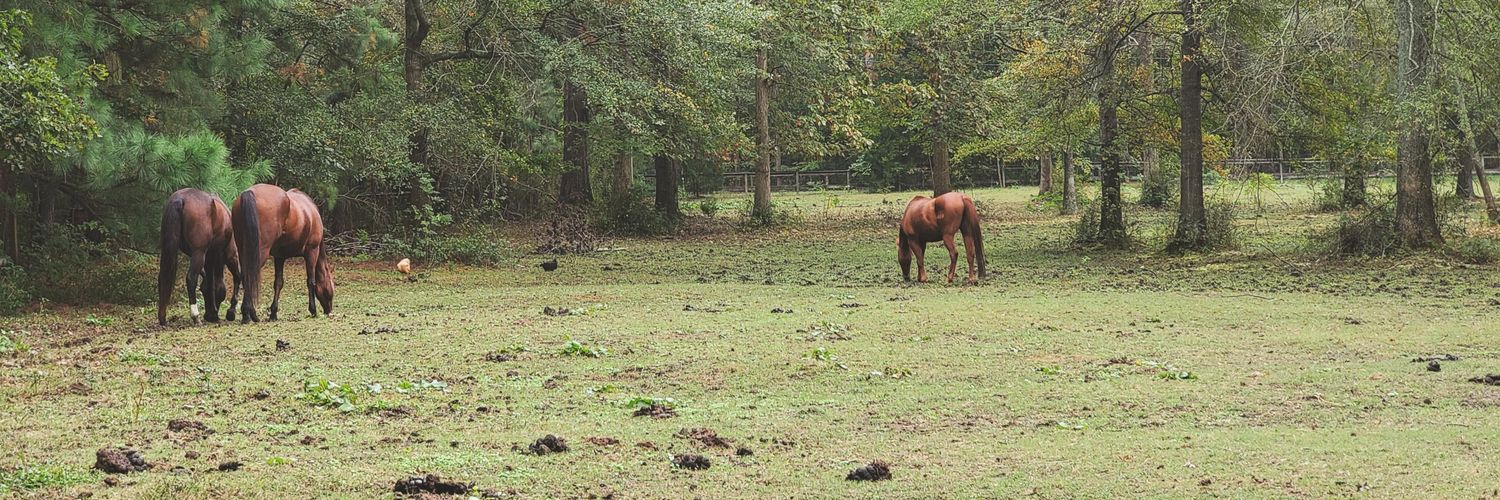 RavingPsychotic banner