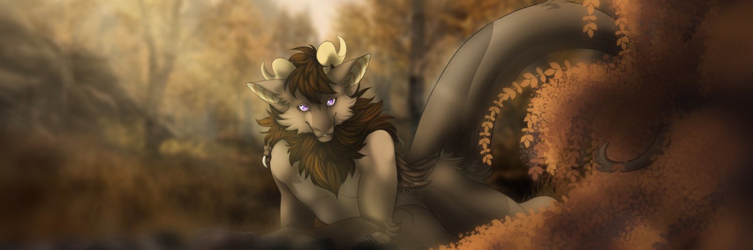 ronidragon.bsky.social banner