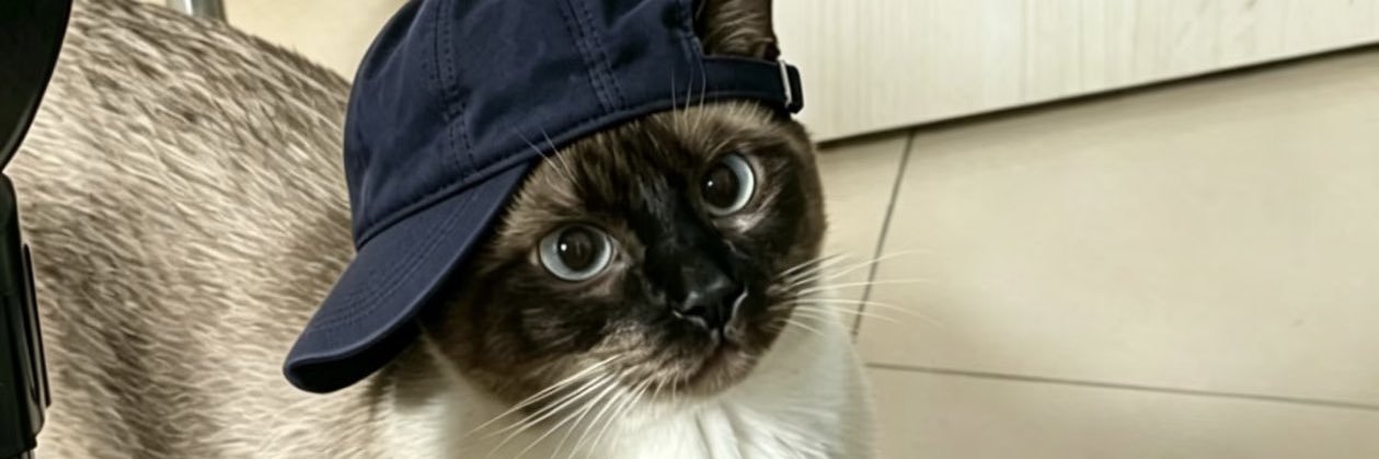 flowmaraj's profile banner image