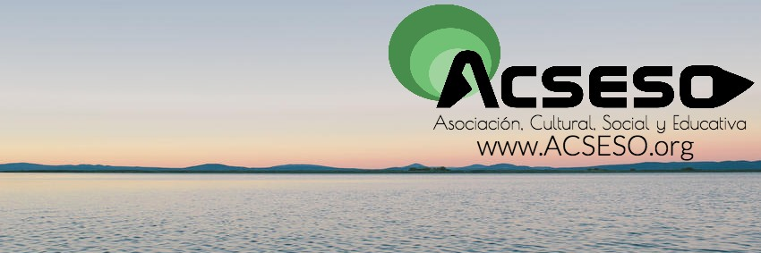 ACSESO banner