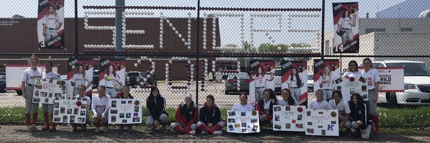 CardsFastpitch's profile banner image